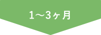 1～3か月